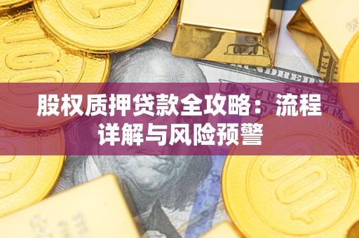 武汉股权质押贷款全攻略：流程详解与风险预警