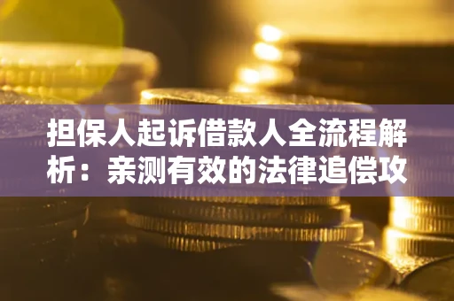 武汉担保人起诉借款人全流程解析：亲测有效的法律追偿攻略