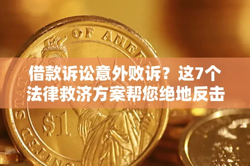 武汉借款诉讼意外败诉？这7个法律救济方案帮您绝地反击！