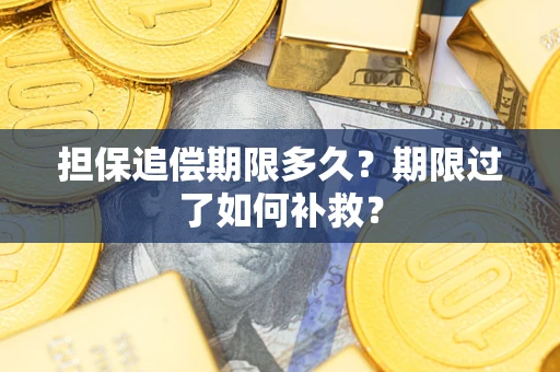 武汉担保追偿期限多久？期限过了如何补救？