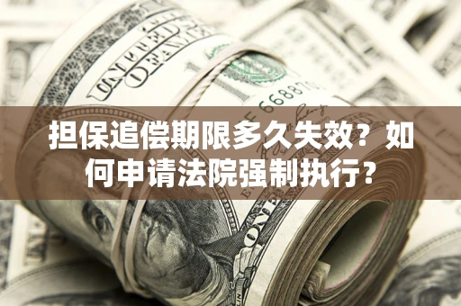 武汉担保追偿期限多久失效？如何申请法院强制执行？