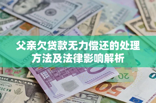 武汉父亲欠贷款无力偿还的处理方法及法律影响解析