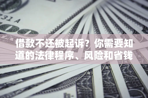 武汉借款不还被起诉？你需要知道的法律程序、风险和省钱技巧