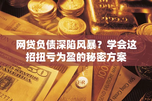 武汉网贷负债深陷风暴？学会这招扭亏为盈的秘密方案